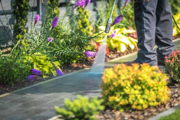 Best Restaurant Pressure Washing  in Argyle, TX